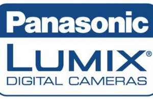 Panasonic Lumix S 70–300mm f/4.5–5.6 Macro OIS