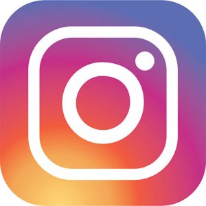 Instagram-Icon-2017 nicolas bruno