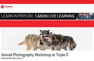 Canon-Destination-Workshop-2019