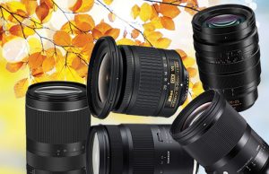 Fall-Lens-Scene-2019-banner