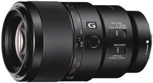 FaLL lens scene 2019 Sony-FE-90mm-f2.8-Macro-G-OSS