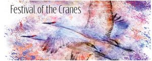 Festival-Cranes Sigma fp launch