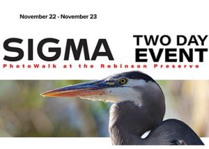 Sigma fp launch Sigma-Festival-Cranes-11-19-Banner