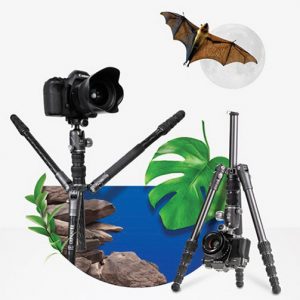 Benro-Bat-Tripod-graphic