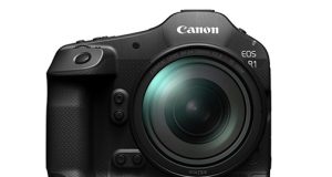 Canon-EOS-R1-w-28-70mmf2.8
